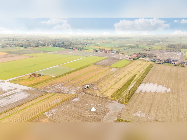 Beautiful villa in a traditional style with outbuildings and pastures on 89,070 m² – 2811 Leest