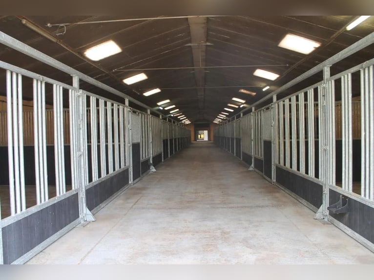 Boerderij met paardenfaciliteiten en graslanden op  14.490m² te Antwerpen | België