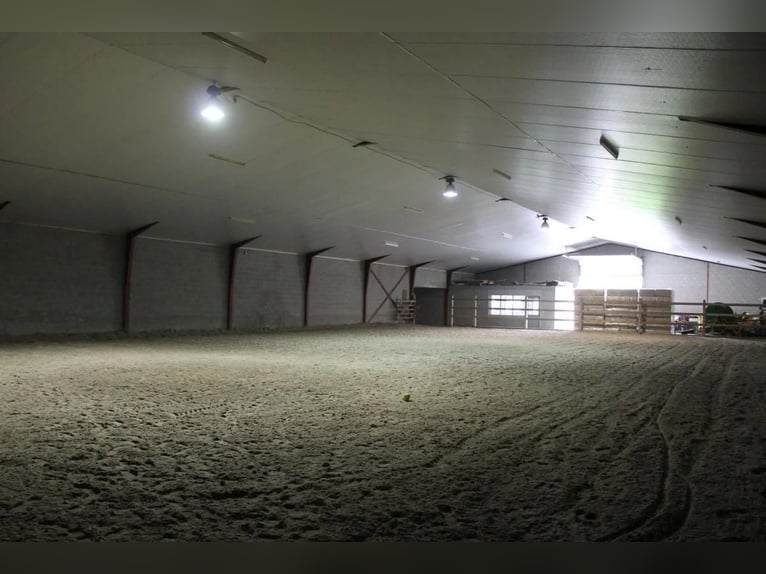Boerderij met paardenfaciliteiten en graslanden op  14.490m² te Antwerpen | België