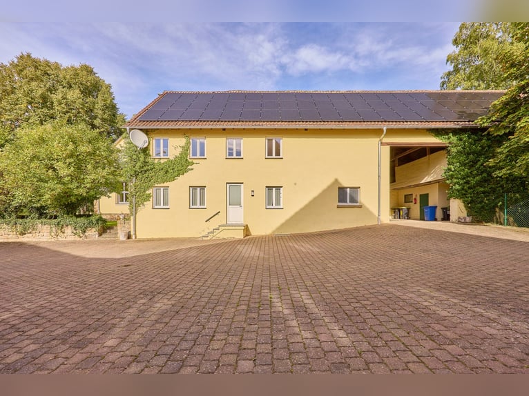 Castle for sale in Rheinhessen featuring its own equestrian facility and event venue!