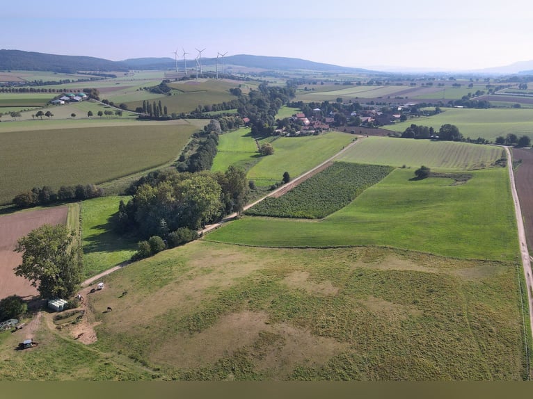 Charmantes Bauernhaus mit artengerechter Pferdehaltung und vielen weiteren Möglichkeiten