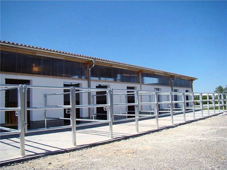 Charming Equestrian Facility Located Between Stuttgart and Lake Constance V11998