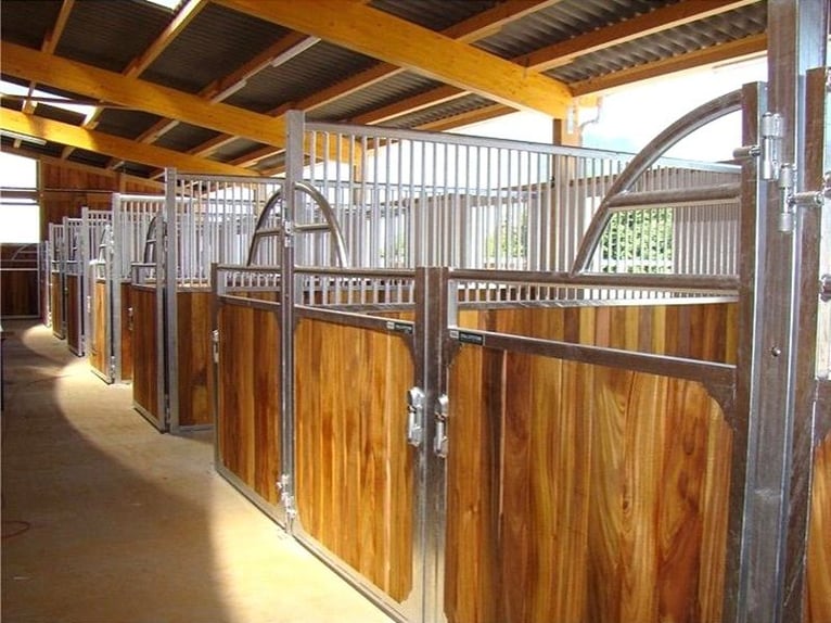 Charming Equestrian Facility Located Between Stuttgart and Lake Constance V11998