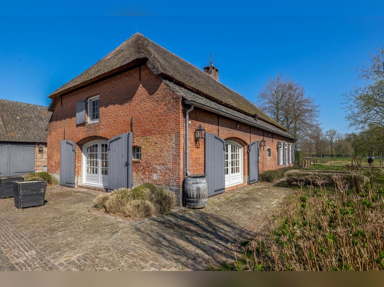 Charming farmhouse with equestrian facilities near ’s-Hertogenbosch