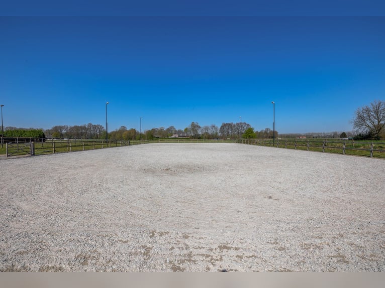 Charming farmhouse with equestrian facilities near ’s-Hertogenbosch