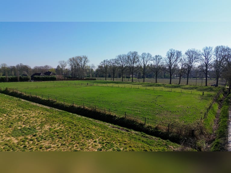 Charming farmhouse with equestrian facilities near ’s-Hertogenbosch