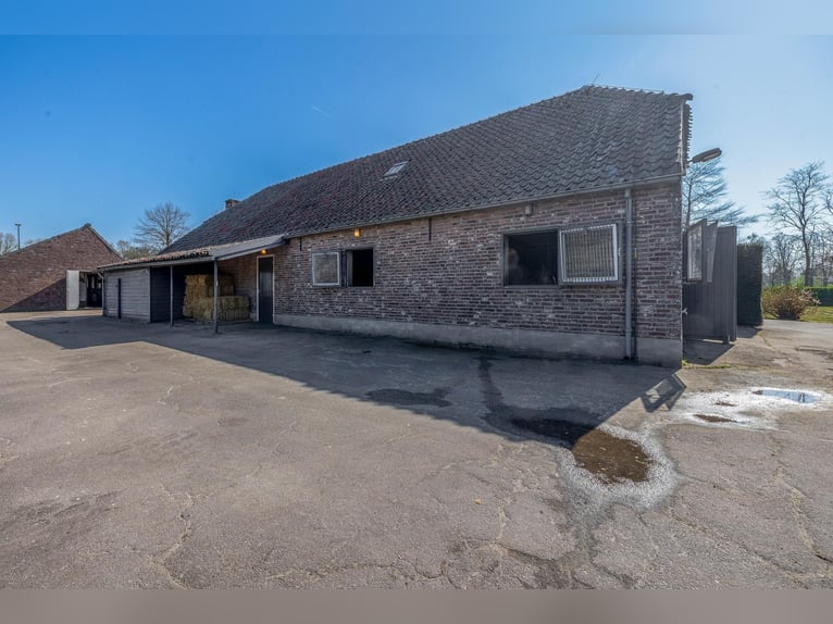 Charming farmhouse with equestrian facilities near ’s-Hertogenbosch