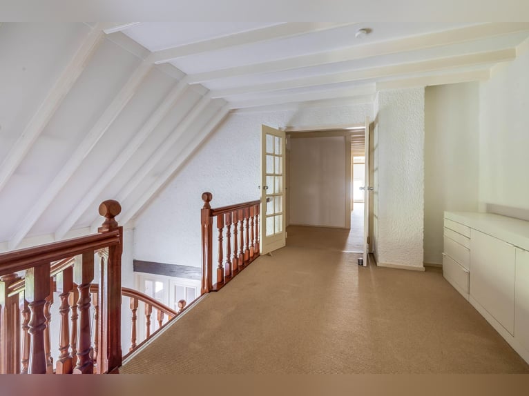 Charming farmhouse with equestrian facilities near ’s-Hertogenbosch