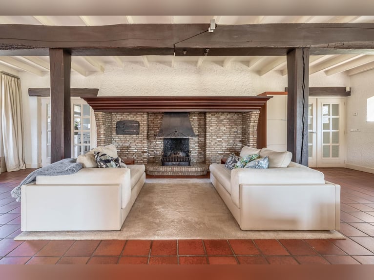 Charming farmhouse with equestrian facilities near ’s-Hertogenbosch