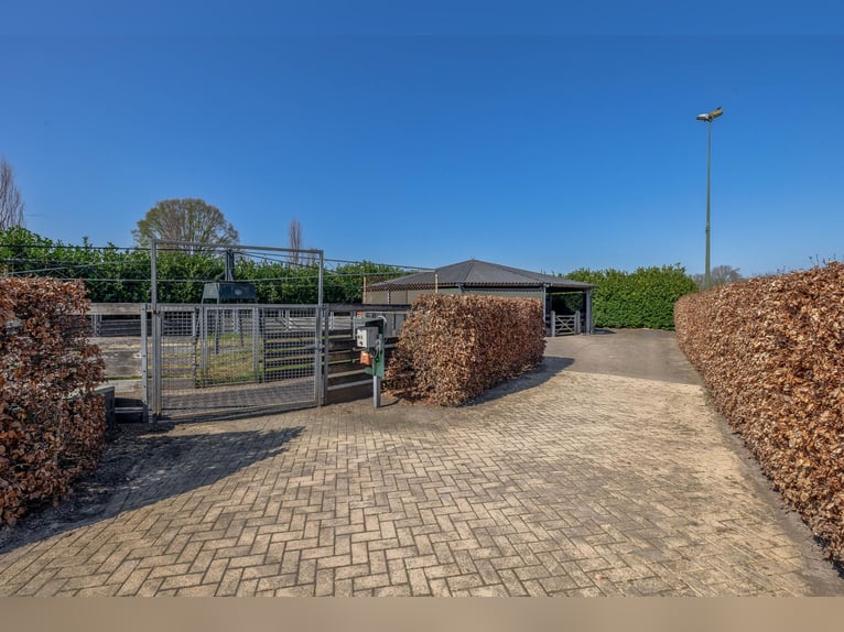 Charming farmhouse with equestrian facilities near ’s-Hertogenbosch