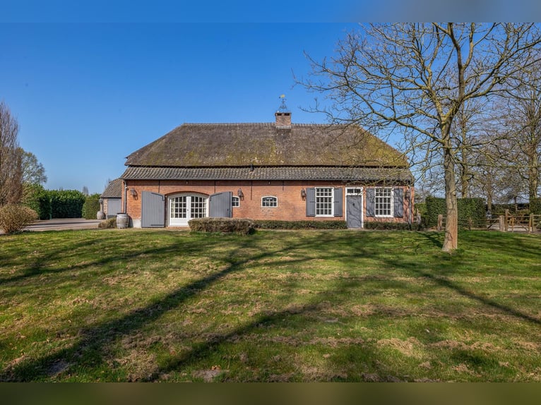 Charming farmhouse with equestrian facilities near ’s-Hertogenbosch