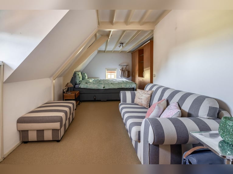 Charming farmhouse with equestrian facilities near ’s-Hertogenbosch