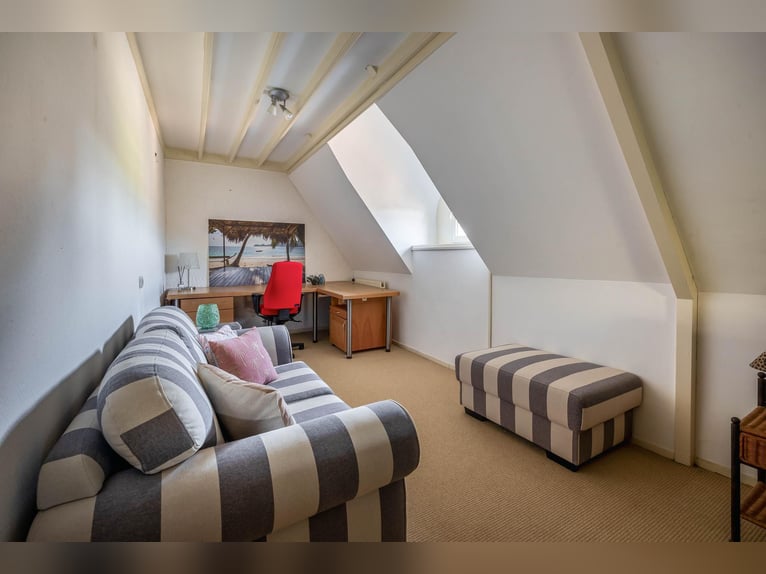 Charming farmhouse with equestrian facilities near ’s-Hertogenbosch