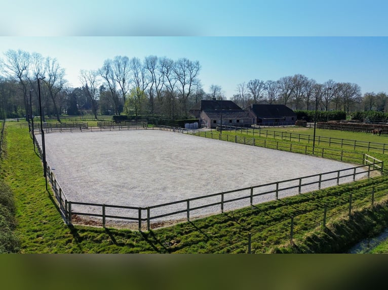 Charming farmhouse with equestrian facilities near ’s-Hertogenbosch