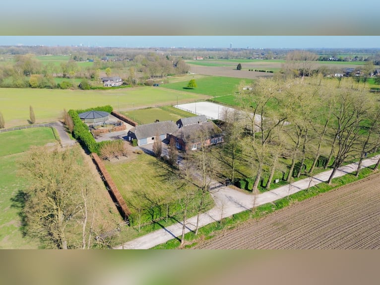 Charming farmhouse with equestrian facilities near ’s-Hertogenbosch
