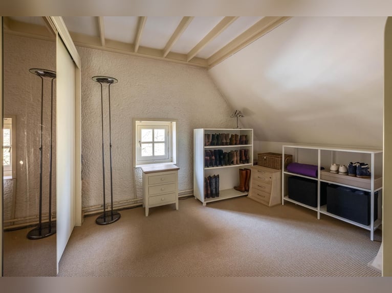 Charming farmhouse with equestrian facilities near ’s-Hertogenbosch
