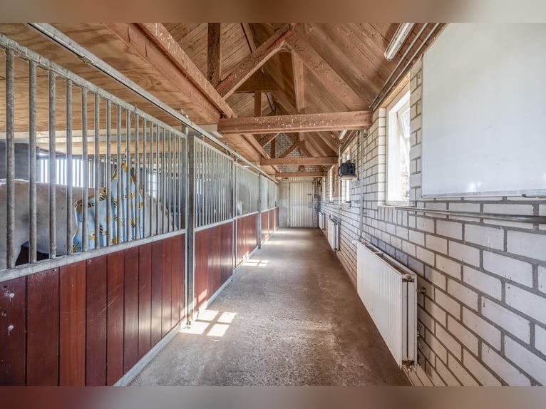 Charming farmhouse with equestrian facilities near ’s-Hertogenbosch