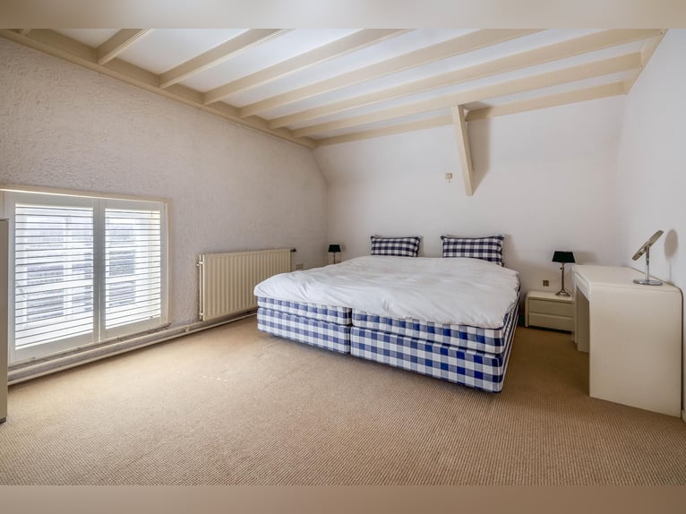 Charming farmhouse with equestrian facilities near ’s-Hertogenbosch