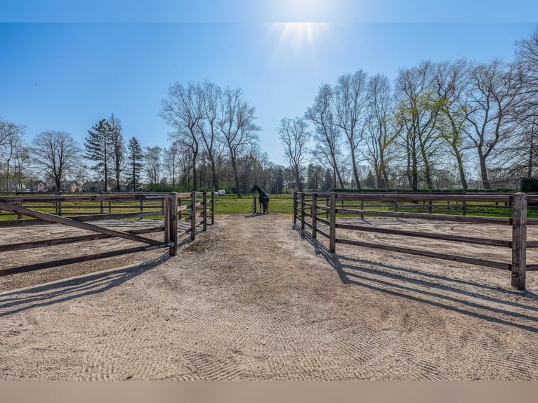 Charming farmhouse with equestrian facilities near ’s-Hertogenbosch