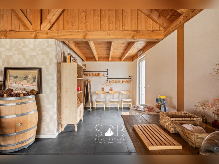 Charming property with vineyard and pastureland covering 14,569 m² in Wachtebeke | Belgium