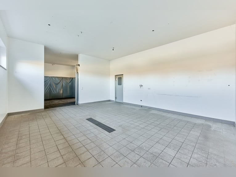 Commercial property in Herrenberg – Newly built equine clinic with multiple offices!