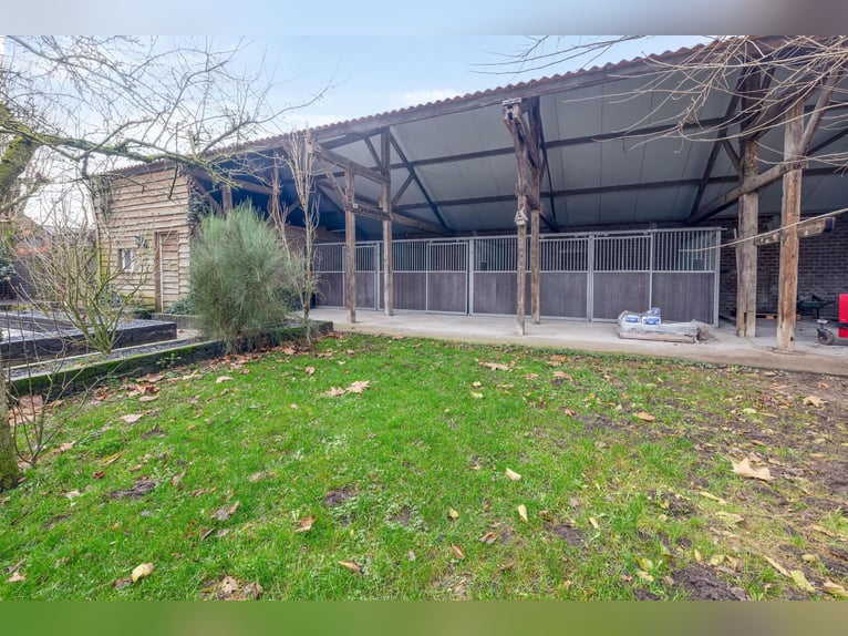 Complete equestrian accommodation