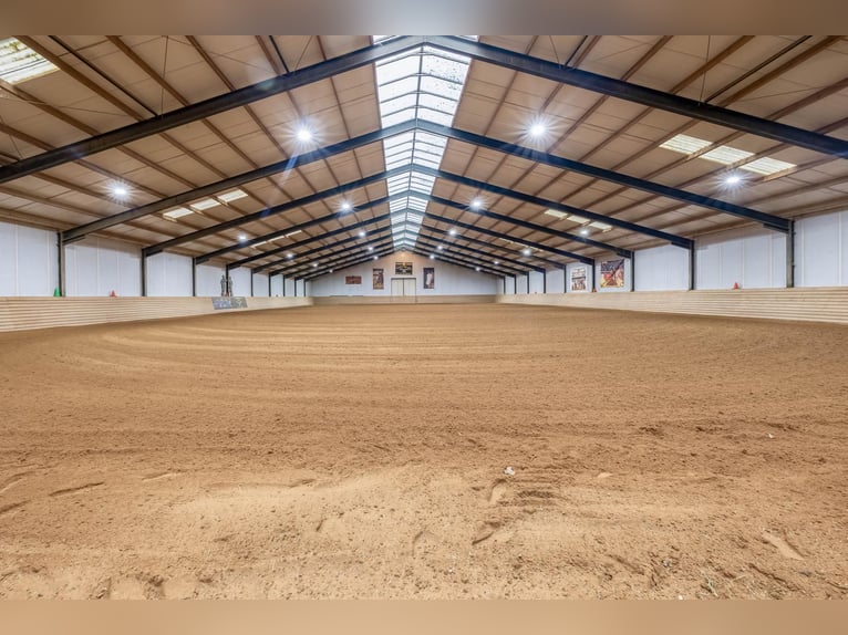 Complete equestrian accommodation