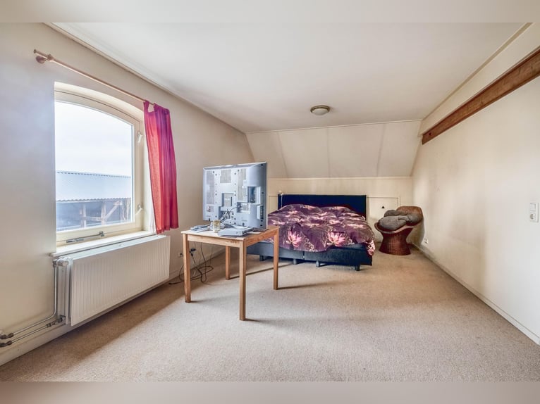 Complete equestrian accommodation