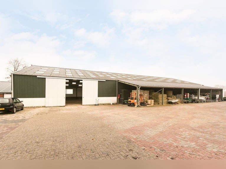 Complete equestrian accommodation located on a plot of 2 hectares in the outskirts