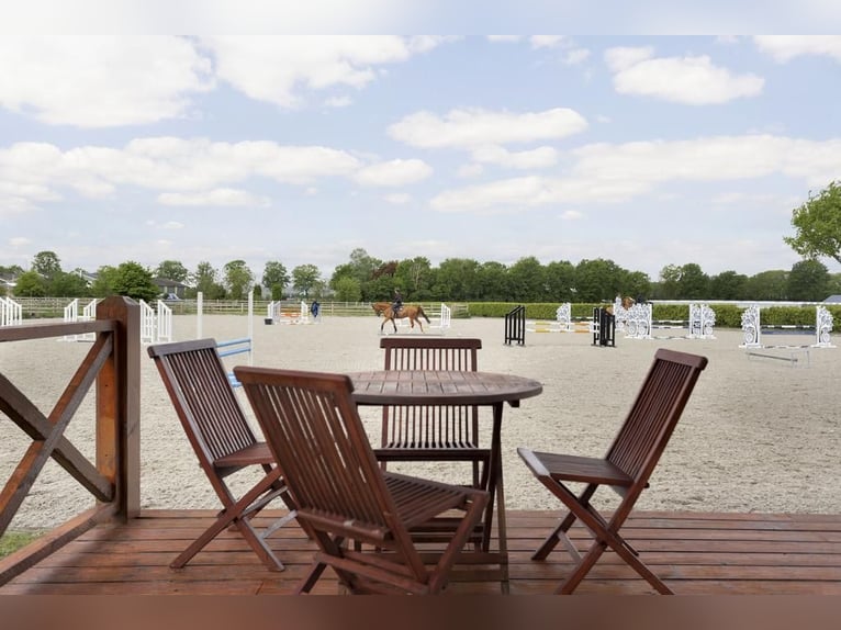 Complete equestrian accommodation located on a plot of 2 hectares in the outskirts