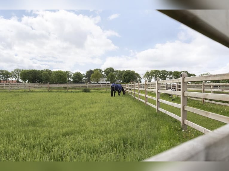 Complete equestrian accommodation located on a plot of 2 hectares in the outskirts