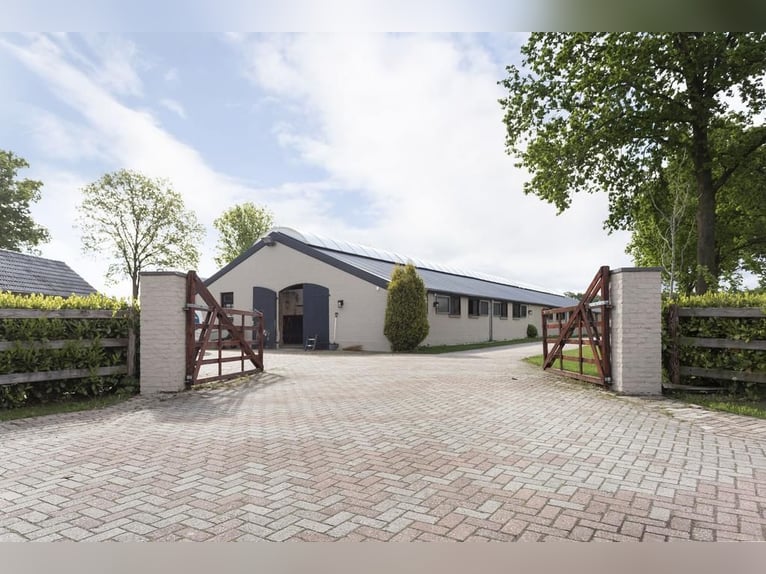 Complete equestrian accommodation located on a plot of 2 hectares in the outskirts