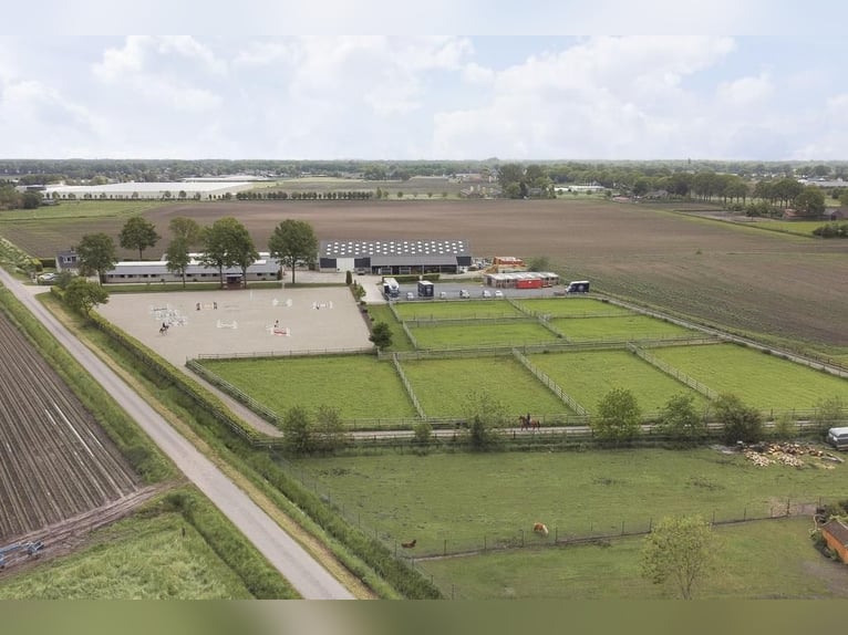 Complete equestrian accommodation located on a plot of 2 hectares in the outskirts