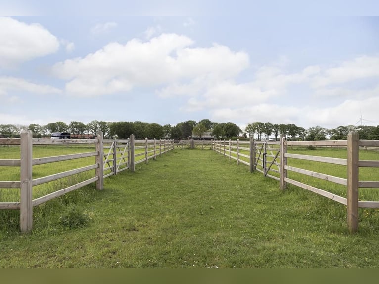 Complete equestrian accommodation located on a plot of 2 hectares in the outskirts