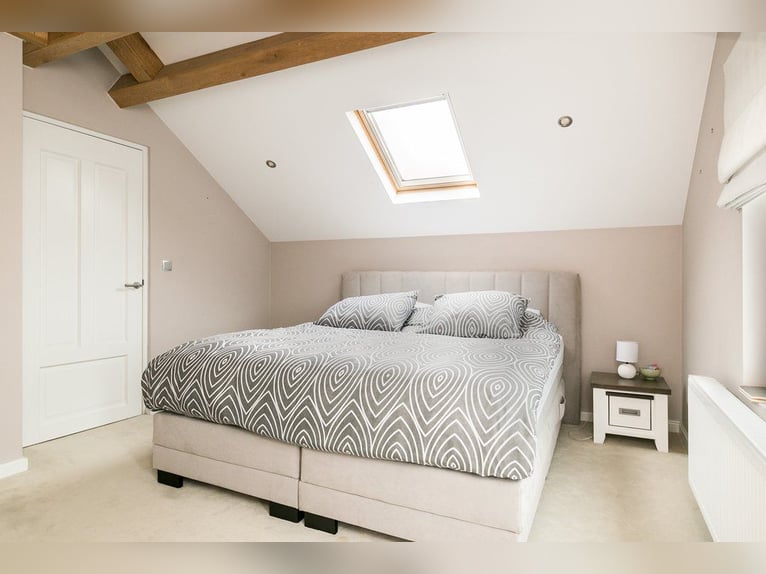 Complete equestrian accommodation located on a plot of 2 hectares in the outskirts
