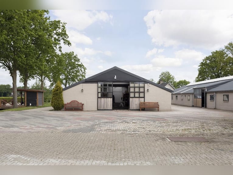 Complete equestrian accommodation located on a plot of 2 hectares in the outskirts