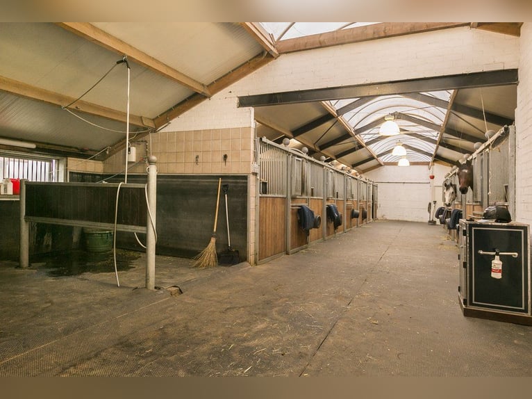 Complete equestrian accommodation located on a plot of 2 hectares in the outskirts