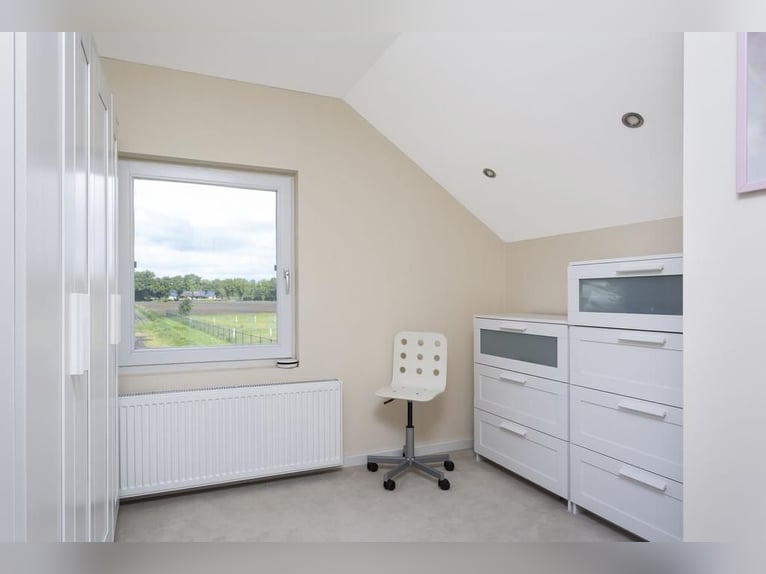 Complete equestrian accommodation located on a plot of 2 hectares in the outskirts