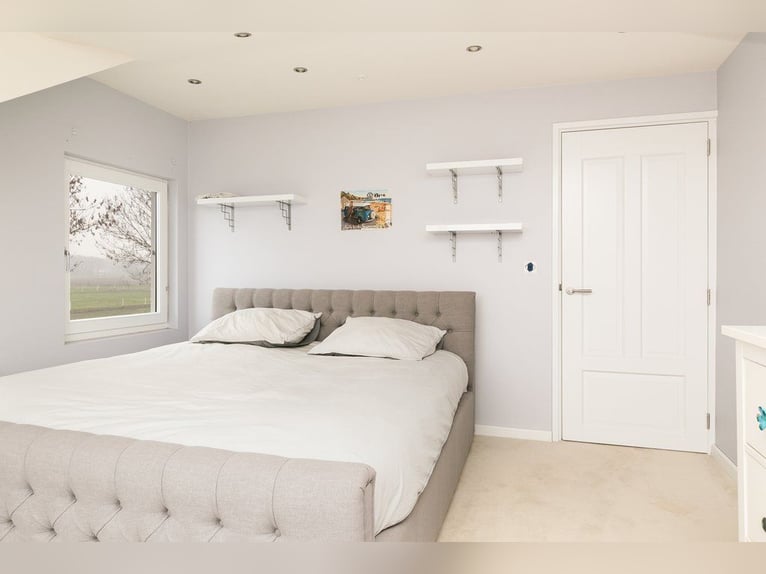 Complete equestrian accommodation located on a plot of 2 hectares in the outskirts