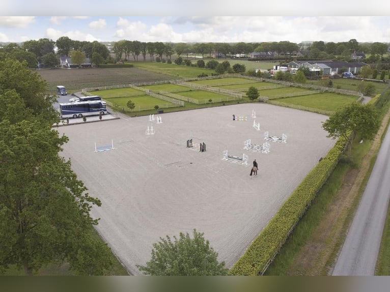 Complete equestrian accommodation located on a plot of 2 hectares in the outskirts