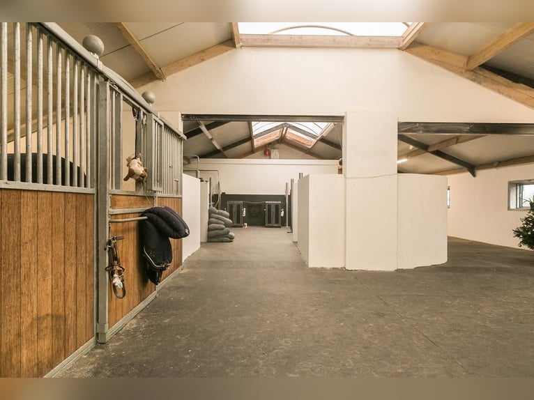 Complete equestrian accommodation located on a plot of 2 hectares in the outskirts