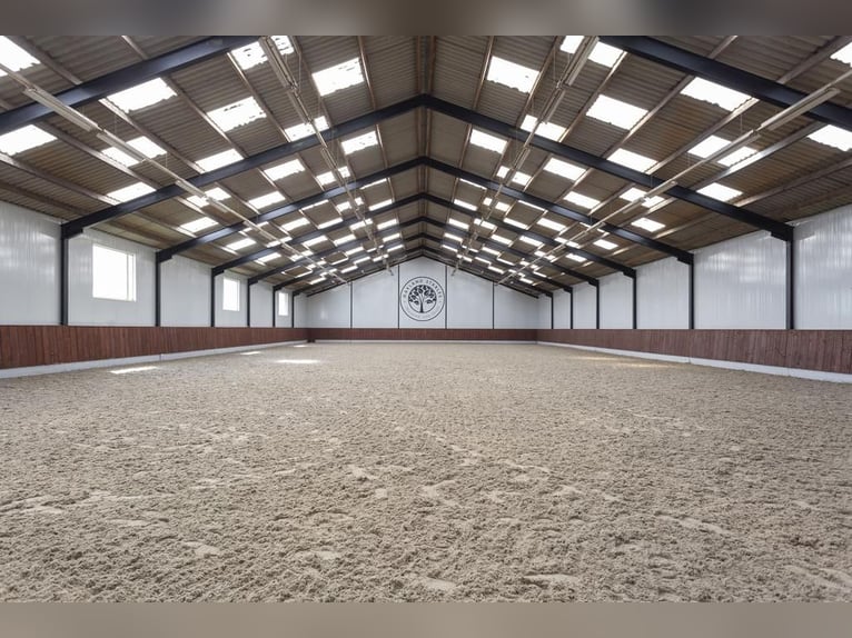 Complete equestrian accommodation located on a plot of 2 hectares in the outskirts