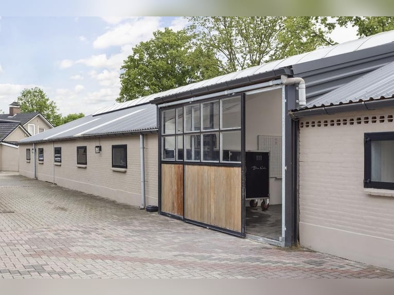 Complete equestrian accommodation located on a plot of 2 hectares in the outskirts