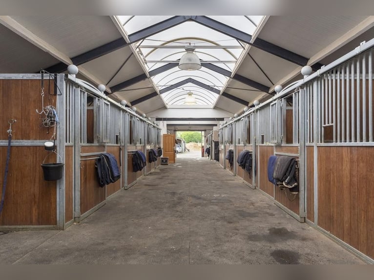 Complete equestrian accommodation located on a plot of 2 hectares in the outskirts