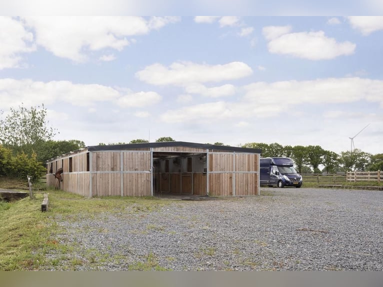 Complete equestrian accommodation located on a plot of 2 hectares in the outskirts
