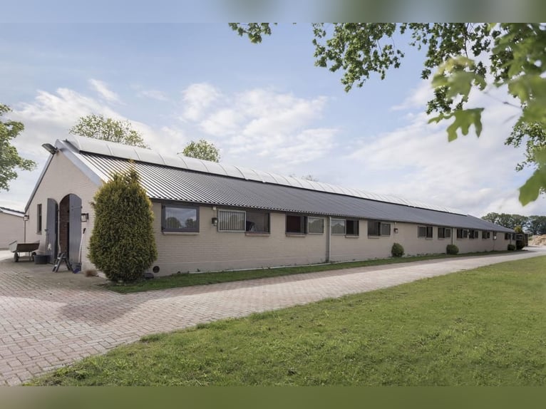 Complete equestrian accommodation located on a plot of 2 hectares in the outskirts