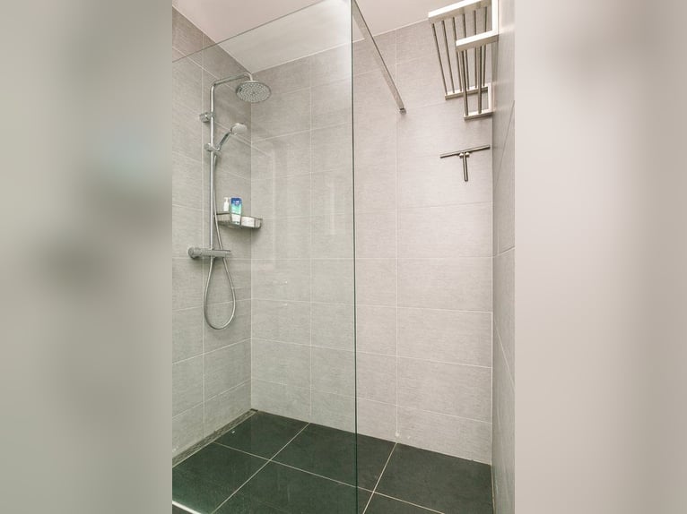 Complete equestrian accommodation located on a plot of 2 hectares in the outskirts
