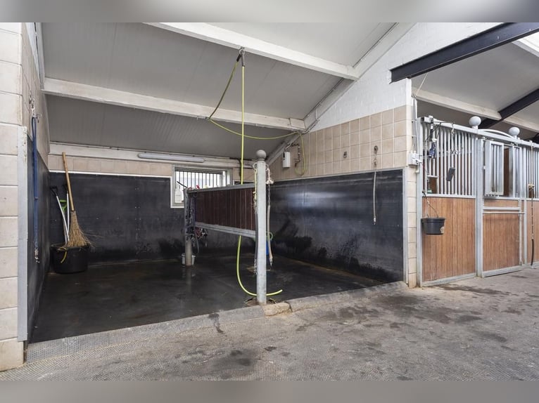 Complete equestrian accommodation located on a plot of 2 hectares in the outskirts