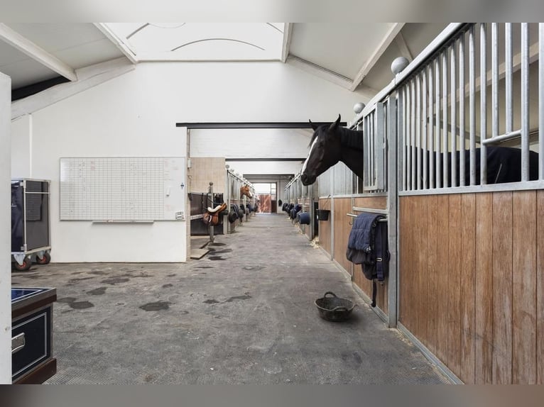 Complete equestrian accommodation located on a plot of 2 hectares in the outskirts