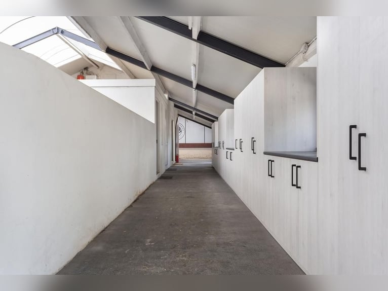 Complete equestrian accommodation located on a plot of 2 hectares in the outskirts